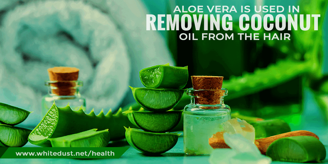 ALOEVERA-is-used-in-removing-coconut-oil