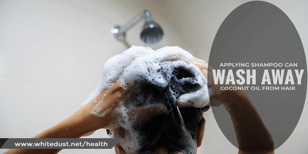 applying-shampoo can wash away oil