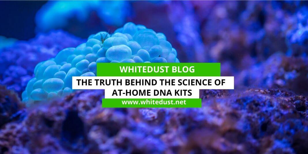 The Truth behind the Science of At-Home DNA Kits