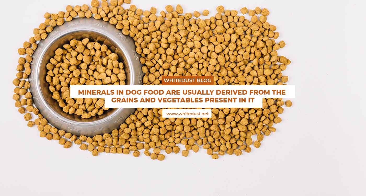 Truth about pet food
